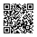 To view this 2013 Chevrolet Malibu Richfield MN from University Auto Sales Maplewood | Richfield | Burnsville | St Paul, please scan this QR code with your smartphone or tablet to view the mobile version of this page.