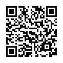 To view this 2013 Nissan LEAF Burnsville MN from University Auto Sales Maplewood | Richfield | Burnsville | St Paul, please scan this QR code with your smartphone or tablet to view the mobile version of this page.
