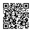 To view this 2014 Ford Taurus St. Paul MN from University Auto Sales Maplewood | Richfield | Burnsville | St Paul, please scan this QR code with your smartphone or tablet to view the mobile version of this page.
