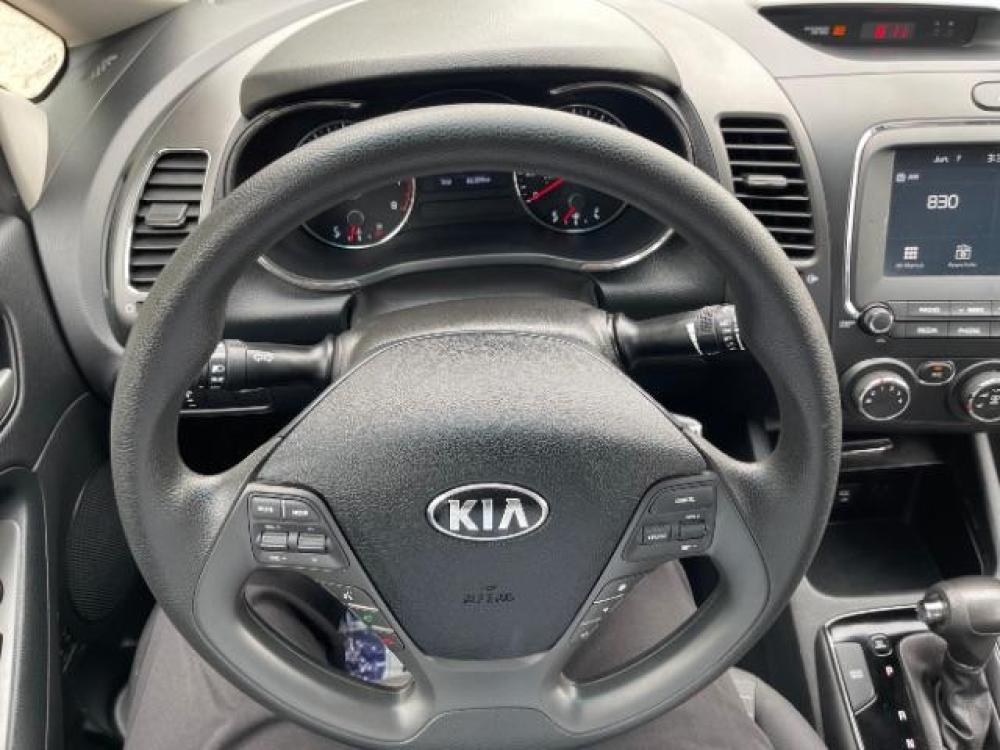 2018 GRAY Kia Forte LX 6A (3KPFL4A76JE) with an 2.0L L4 DOHC 16V engine, 6-Speed Automatic transmission, located at 616 E. 78th St, Richfield, MN, 55423, (612) 866-0331, 44.862831, -93.267143 - Photo #17