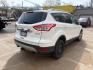2014 White Platinum Trico Ford Escape Titanium FWD (1FMCU0J96EU) with an 2.0L L4 DOHC 16V engine, 6-Speed Automatic transmission, located at 745 S Robert St, St. Paul, MN, 55107, (651) 222-2991, 44.923389, -93.081215 - Photo#3