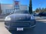 2020 Black Porsche Cayenne Base (WP1AA2AYXLD) with an 3.0L V6 DOHC 24V engine, 6-Speed Automatic transmission, located at 3301 W Hwy 13, Burnsville, MN, 55337, (952) 460-3200, 44.775333, -93.320808 - Photo#0