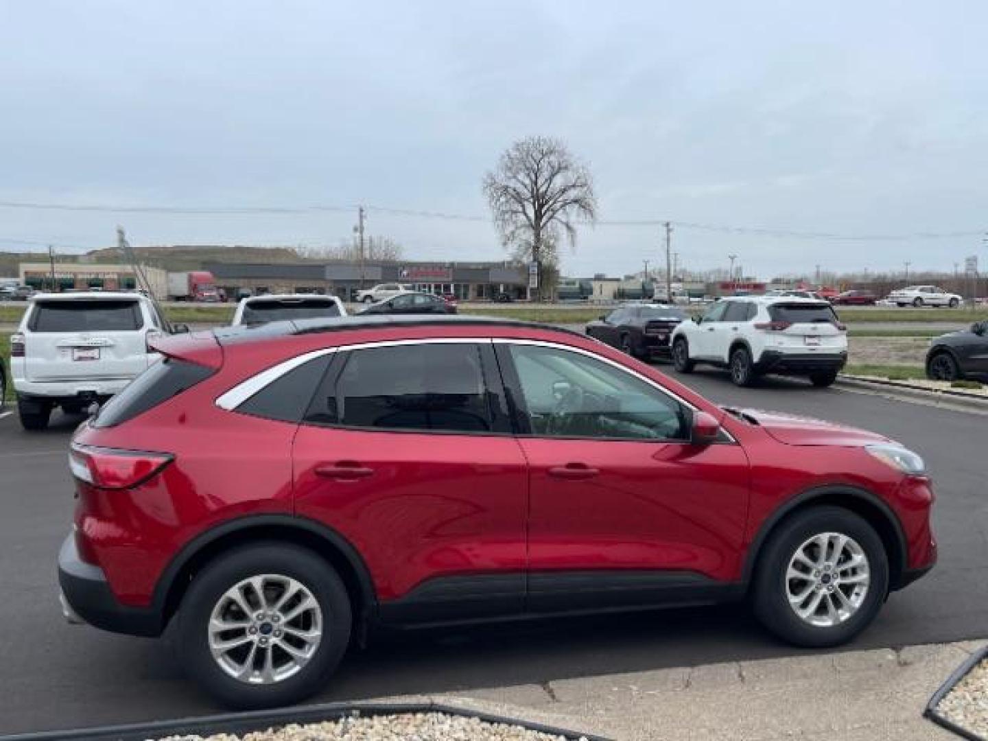 2020 Rapid Red Metallic Tinted Clearcoat Ford Escape SE AWD (1FMCU9G63LU) with an 1.5L L3 engine, 8-Speed Automatic transmission, located at 3301 W Hwy 13, Burnsville, MN, 55337, (952) 460-3200, 44.775333, -93.320808 - Photo#6