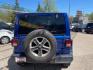 2019 BLUE Jeep Wrangler Unlimited Sahara (1C4HJXEGXKW) with an 3.6L V6 DOHC 24V FFV engine, 6-Speed Manual transmission, located at 3301 W Hwy 13, Burnsville, MN, 55337, (952) 460-3200, 44.775333, -93.320808 - Photo#5