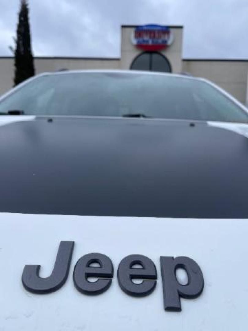 2016 Bright White Clear Coat Jeep Cherokee Trailhawk 4WD (1C4PJMBS5GW) with an 3.2L V6 DOHC 24V engine, 9-Speed Automatic transmission, located at 745 S Robert St, St. Paul, MN, 55107, (651) 222-2991, 44.923389, -93.081215 - Photo#8