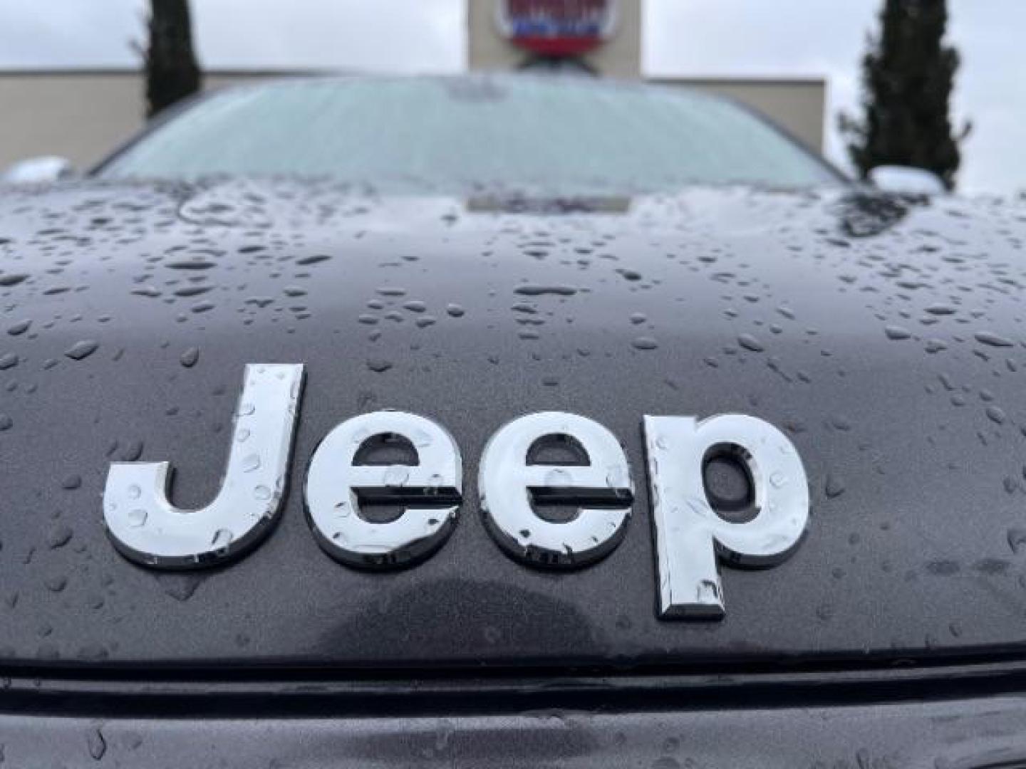 2016 GRAY Jeep Grand Cherokee Overland 4WD (1C4RJFCM4GC) with an 3.0L V6 DOHC 24V DIESEL engine, 8-Speed Automatic transmission, located at 3301 W Hwy 13, Burnsville, MN, 55337, (952) 460-3200, 44.775333, -93.320808 - Photo#3