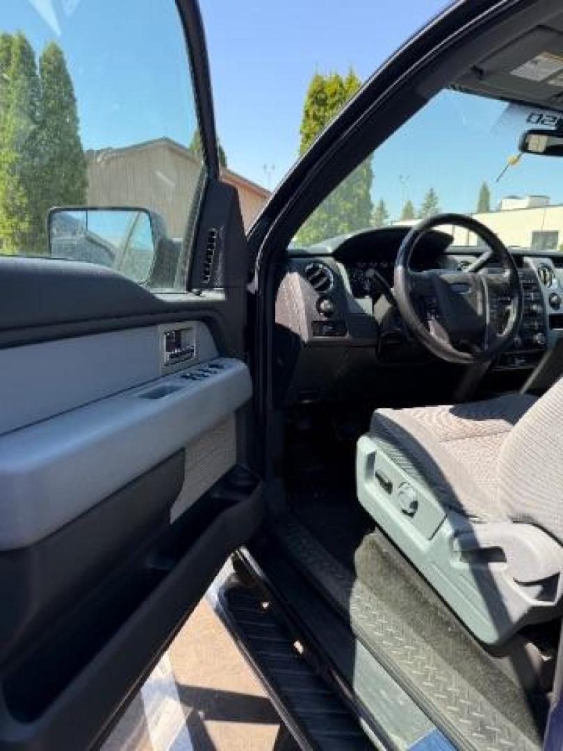 2011 Dark Blue Pearl Metallic Ford F-150 XLT (1FTFX1ET4BF) , located at 3301 W Hwy 13, Burnsville, MN, 55337, (952) 460-3200, 44.775333, -93.320808 - Photo#10